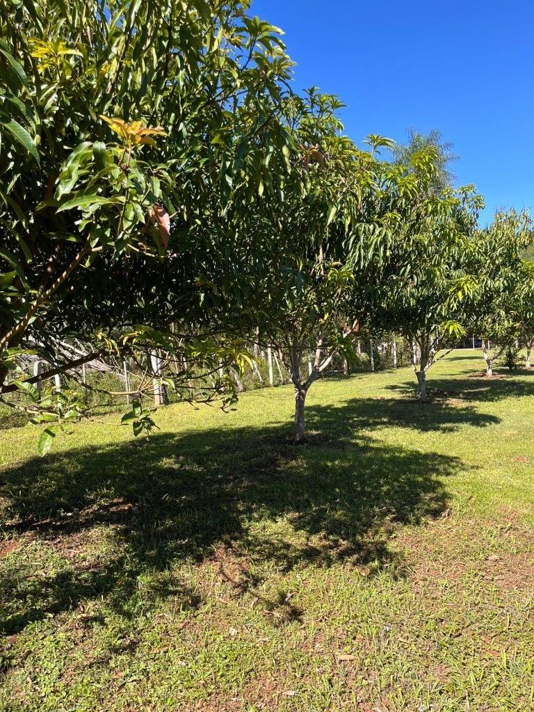 Country house in Itacurubi de la Cordillera 1800m2 - 4