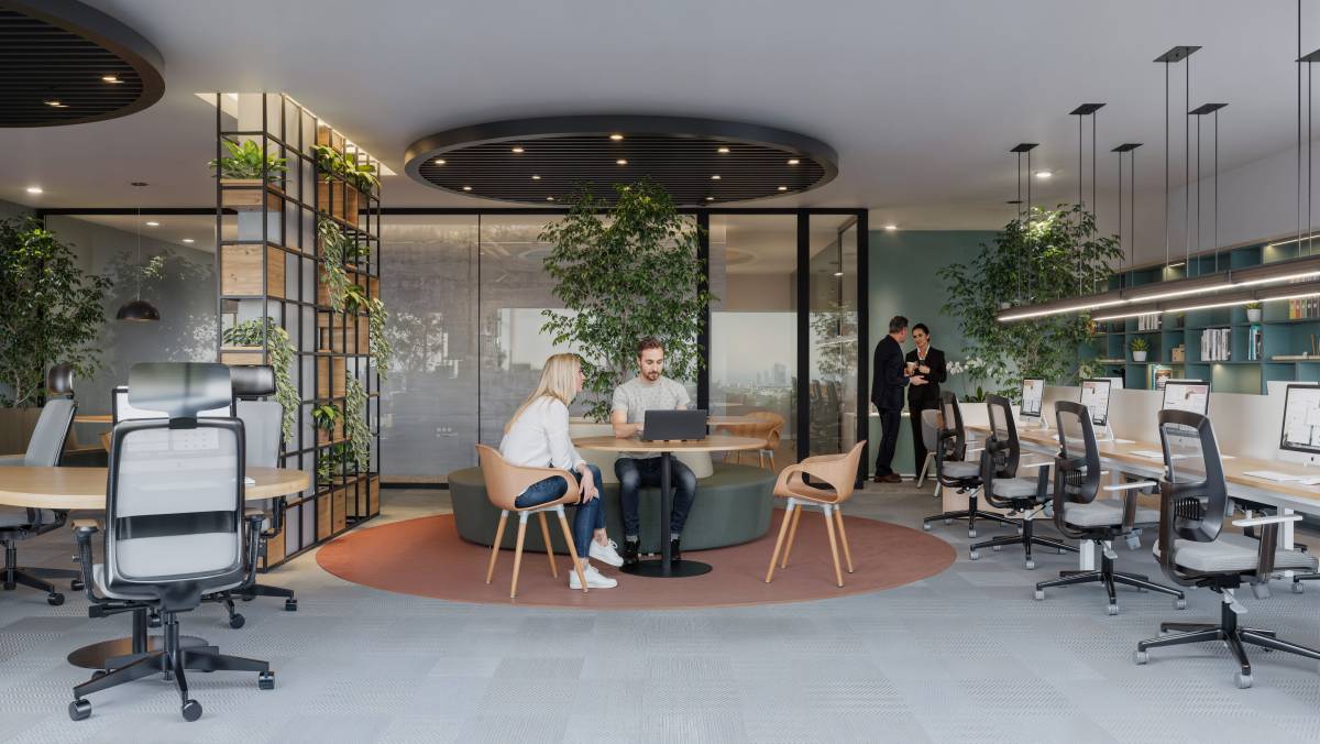 MARISCAL CORPORATE - OFFICES UNDER CONSTRUCTION - 3