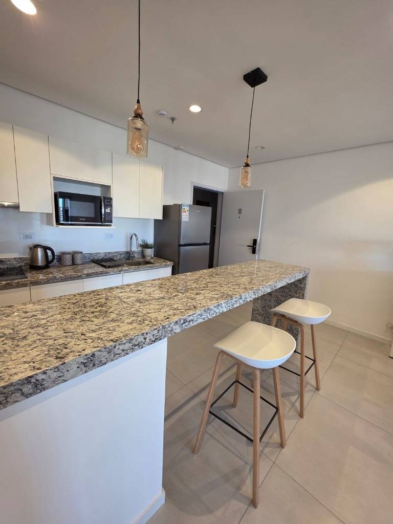 One-bedroom furnished apartment with garage, Herrera, Asunción - imagen 4