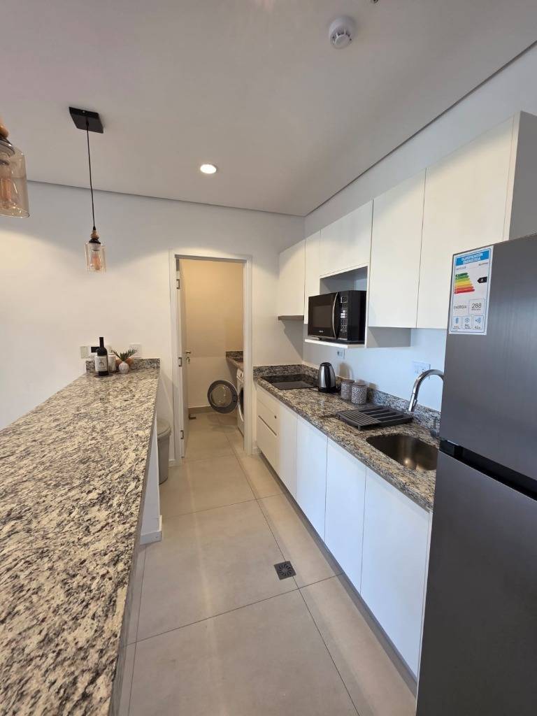 One-bedroom furnished apartment with garage, Herrera, Asunción - imagen 5