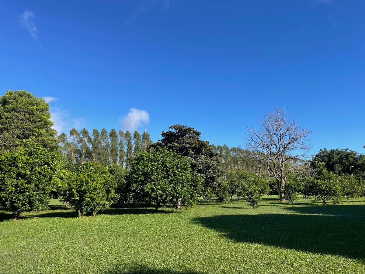 FOR SALE: COUNTRY HOUSE IN TAKURUTY, VILLETA - imagen 15